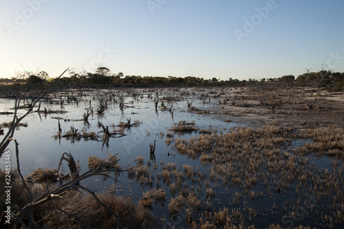 Hyden Australia, view of waters edge of salt lake in late afternoon light