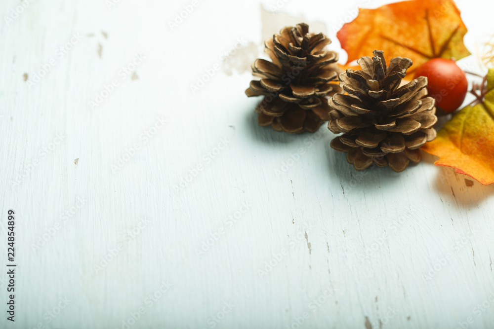 Late autumn background with leaves and cones Late autumn background with leaves and cones