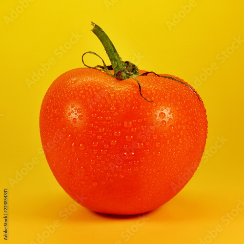 Red tomato with water drops on yellow background