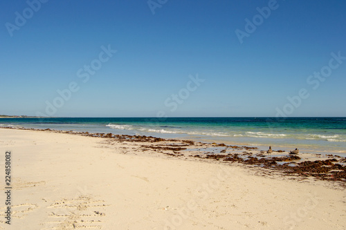 Beach Landscape blue sky