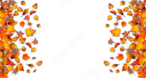 Autumn background with beautiful different golden leaves. Thematic paper illustration. Isolated on white background