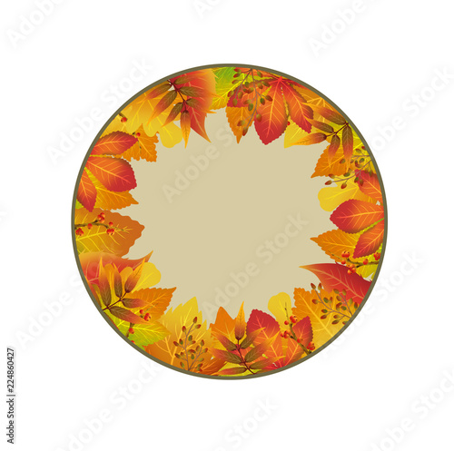 Autumn colorful illustration with different leaves inside the frame. Can be used for banners, greetings cards and flyers with leaves behind circle's shape.