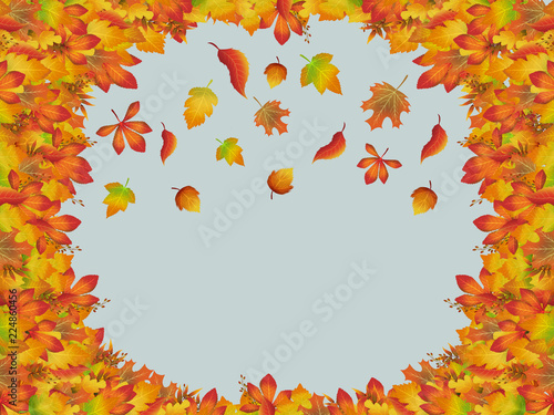 Autumn colorful frame with falling leaves. Golden autumn. different leaves on a blue background