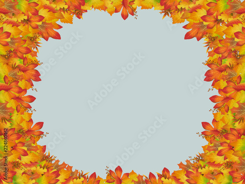 Autumn colorful frame with different leaves on a blue background. Golden autumn.