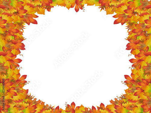 Autumn colorful frame with different leaves isolated on a white background. Golden autumn.