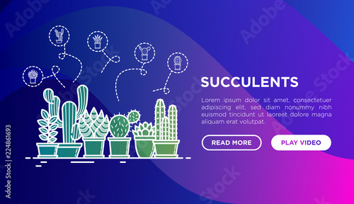 Cactus and succelents in pots concept with thin line icons. Modern vector illustration, web page template for shop of plants on gradient background. photo