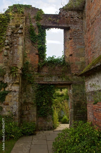 Empty Brick Window and Doorway with Ivy Growing Around it © Dan