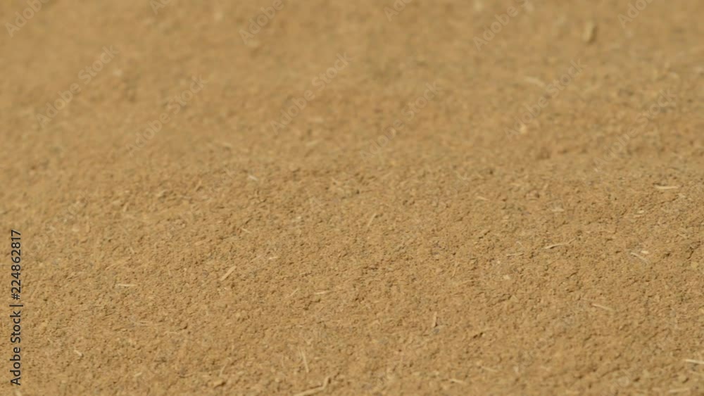 Canela molida, detalle Canela molida, detalle