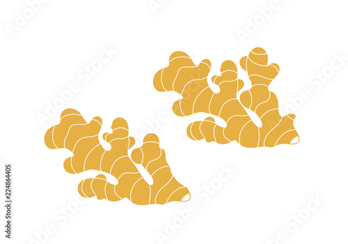 Ginger logo. Isolated ginger on white background