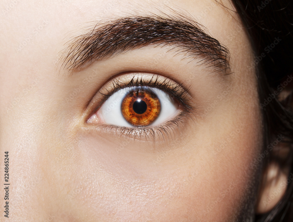 Obraz premium Piękne, wnikliwe spojrzenie dziewczyny. Bliska strzał.