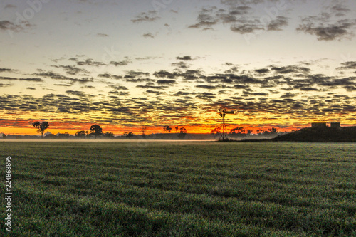 Sunrise over windmill in paddock