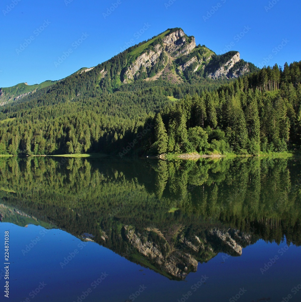 Mountain and forest reflecting in Lake Obersee, Glarus Canton, Switzerland.