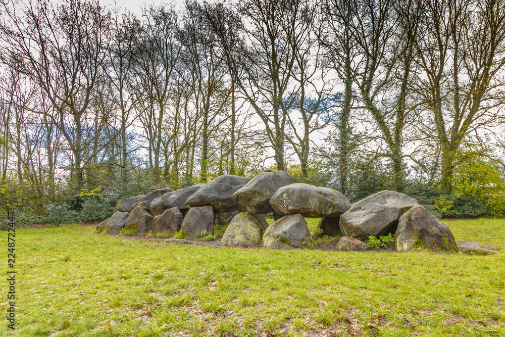 Dolmen D18  near the city of Rolde in the Dutch province of Drenthe with a background of oak trees.  A dolmen or in Dutch a Hunebed is construction work from the new stone age.