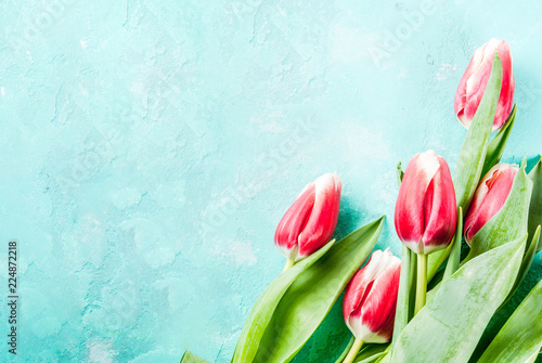 Background with tulip flowers