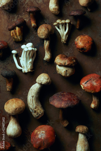 top view of assorted raw edible mushrooms on dark grunge background