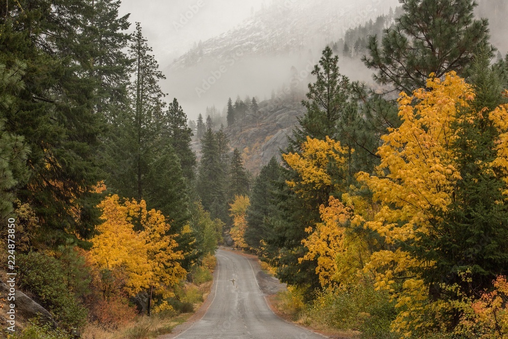 A foggy fall morning drive in the Cascade mountains