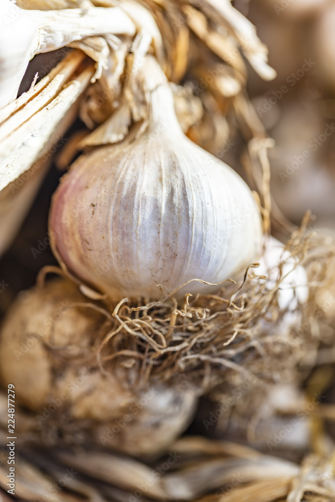 white dry garlic on wooden table white dry garlic on wooden table