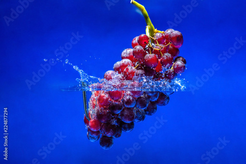 Ripe red grape.Splash water blue background
