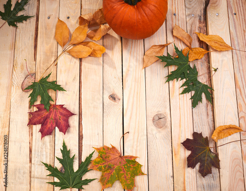 autumn leaves and pumpkin