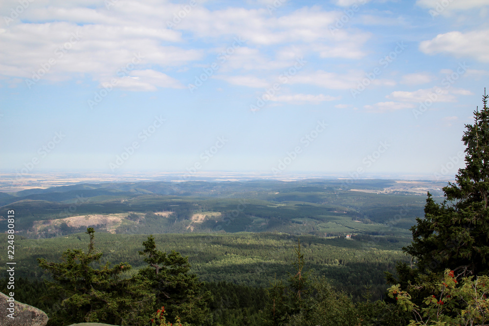 Landschaft im Harz, Felsen, Bäume 