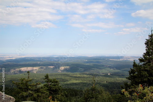 Landschaft im Harz, Felsen, Bäume 