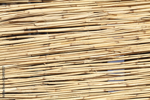 Braune Bambusrohre, Hintergrund