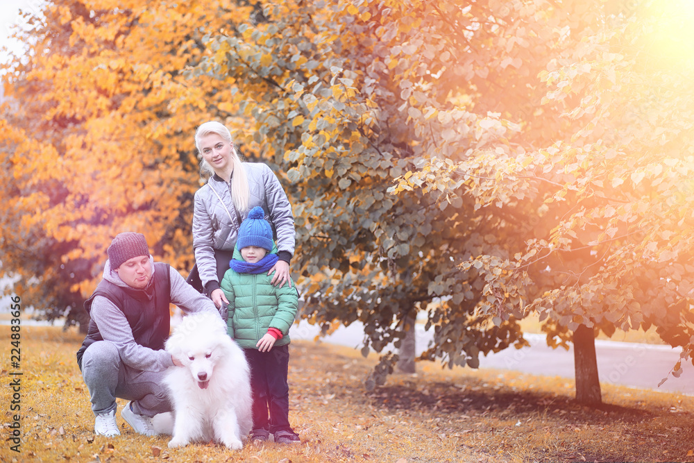 Lovely girl on a walk with a beautiful dog Lovely girl on a walk with a beautiful dog