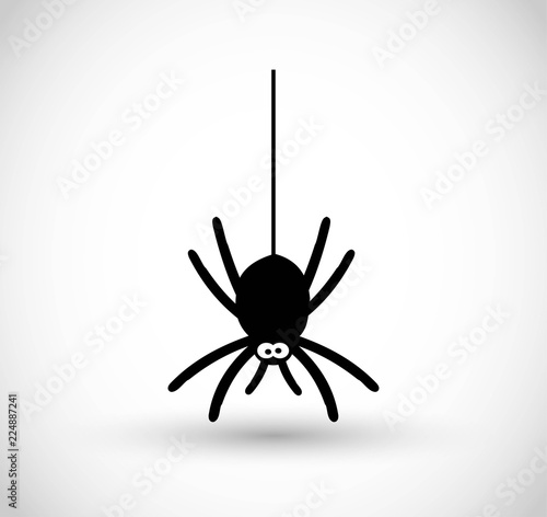 Spider vector icon 