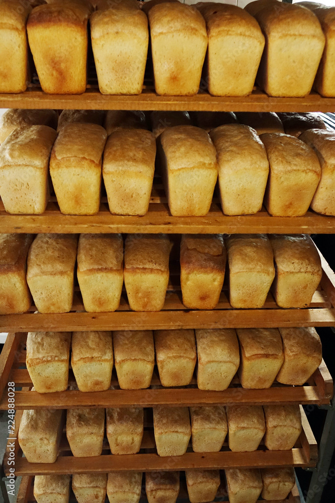 Fresh bread in the bakery. Healthy and nutritious food. The product contains carbohydrates.