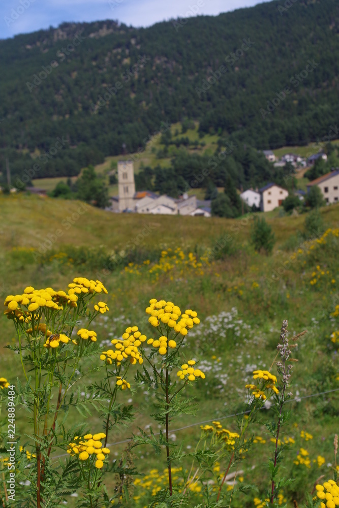 Village de montagne des pyrénées avec clocher et fleurs