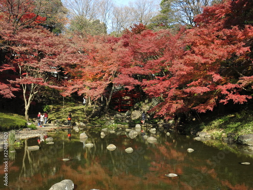 Fototapeta Naklejka Na Ścianę i Meble -  紅葉が美しい秋の小石川後楽園（大堰川）　Koishikawa Korakuen Gardens（Oigawa）