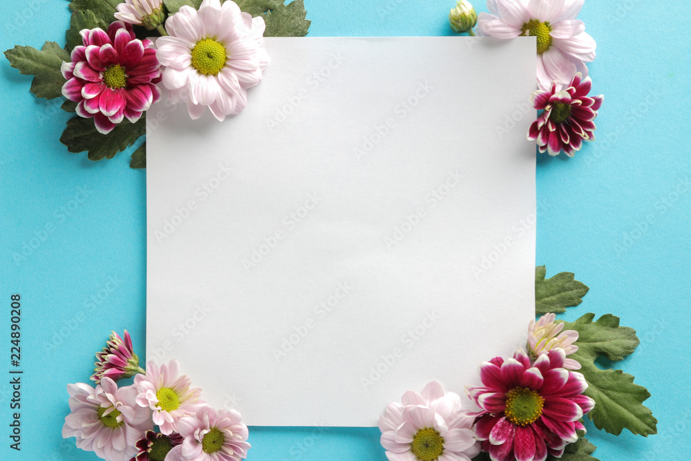 Autumn flowers chrysanthemum white blank for inscription on a trendy blue background. top view