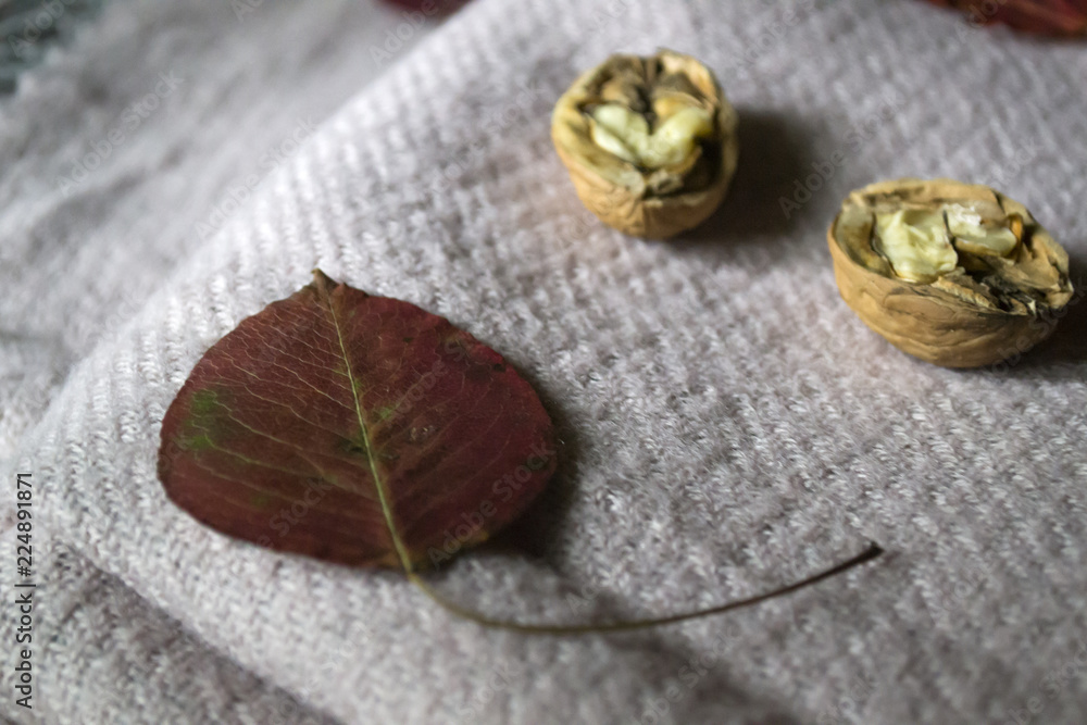 The beautiful fallen leaves and walnuts on a warm scarf. Autumn background. The beautiful fallen leaves and walnuts on a warm scarf. Autumn background.