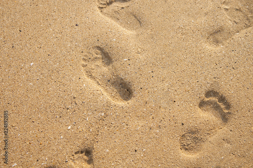 Footsteps in the beach sand
