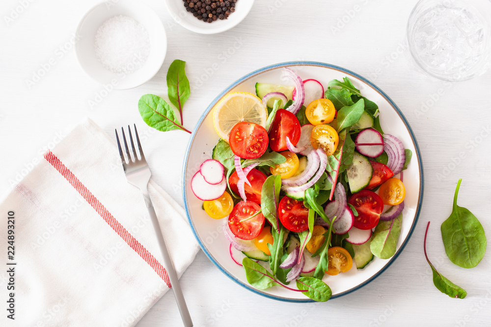 healthy colorful vegan tomato salad with cucumber, radish, onion