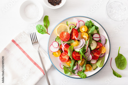 healthy colorful vegan tomato salad with cucumber, radish, onion