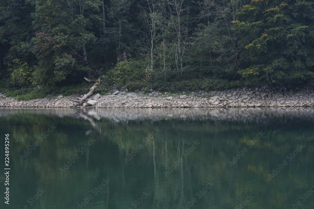 Forest lake with reflection. View of Lake Biograd, Biogradsko jezero, Biogradska Gora national park, Montenegro