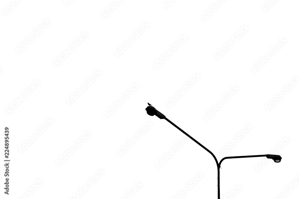 silhouette alone pigeon on lamp post street on white background silhouette alone pigeon on lamp post street on white background