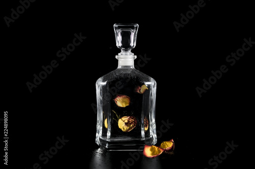 Faded rose in water in glass jar at black background, studio photography