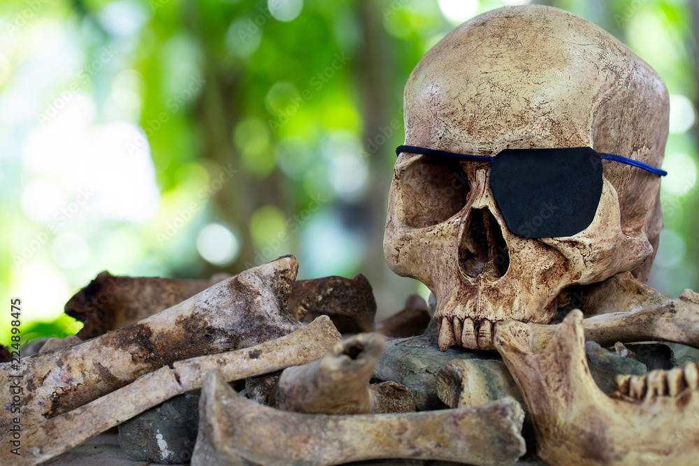 Skull which has blindfold single eye on pile of bones and wooden table in the green gardent, Still Life image Skull which has blindfold single eye on pile of bones and wooden table in the green gardent, Still Life image