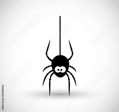 Spider vector icon 