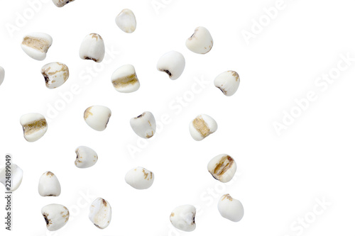 millet on white color background and clipping path.