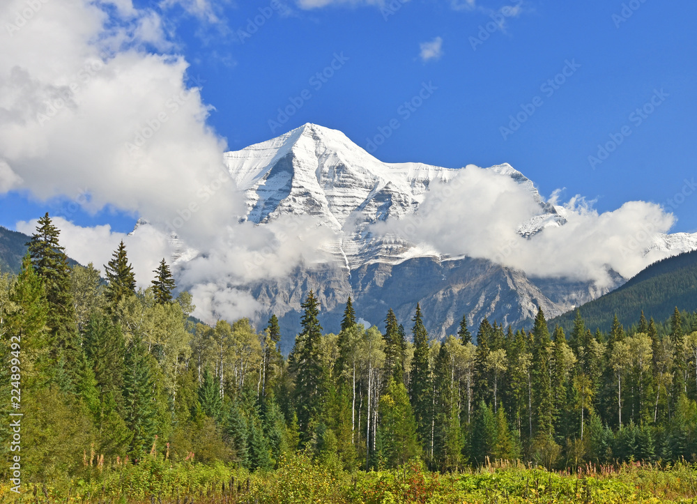 Mount Robson in bright sunshine with blue sky, clouds and forest in the foreground. Mount Robson Provincial Park, British Columbia, Canada