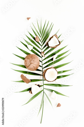 Tropical green palm leaf and cracked coconut on white background. Nature concept. flat lay, top view