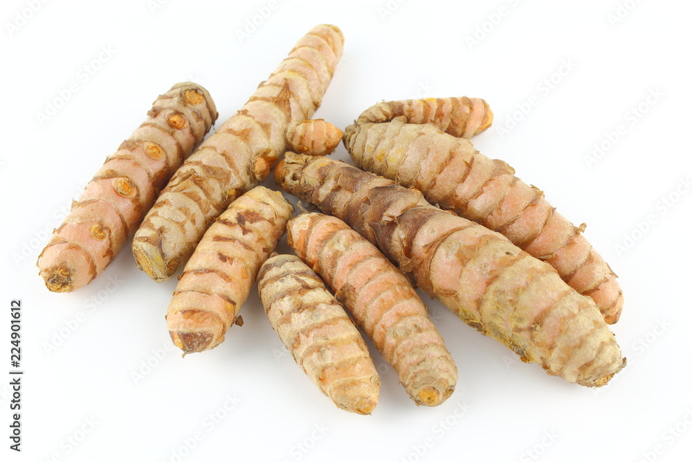 fresh turmeric roots isolated on white background fresh turmeric roots isolated on white background