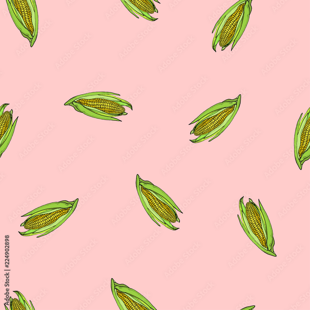Coloured corn seamless vector pink pattern Coloured corn seamless vector pink pattern