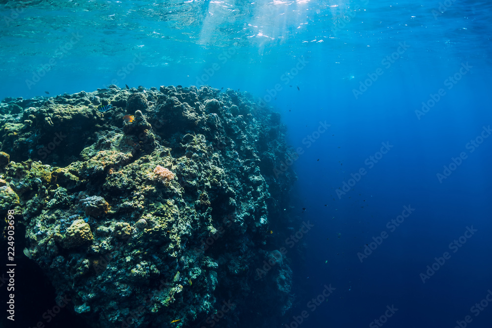 Obraz premium Tropical underwater world with coral reef. Beautiful place for diving