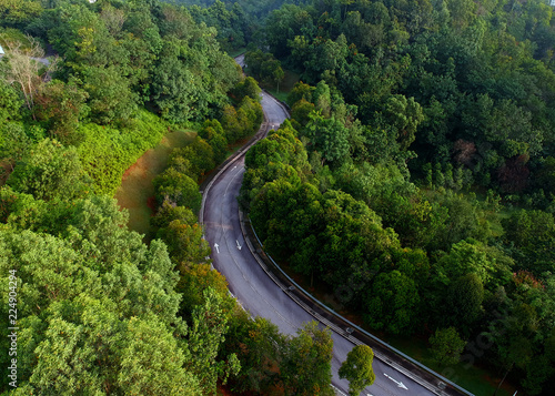 Aerial view of winding road in the forest