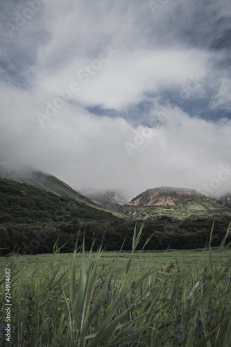 草原と山