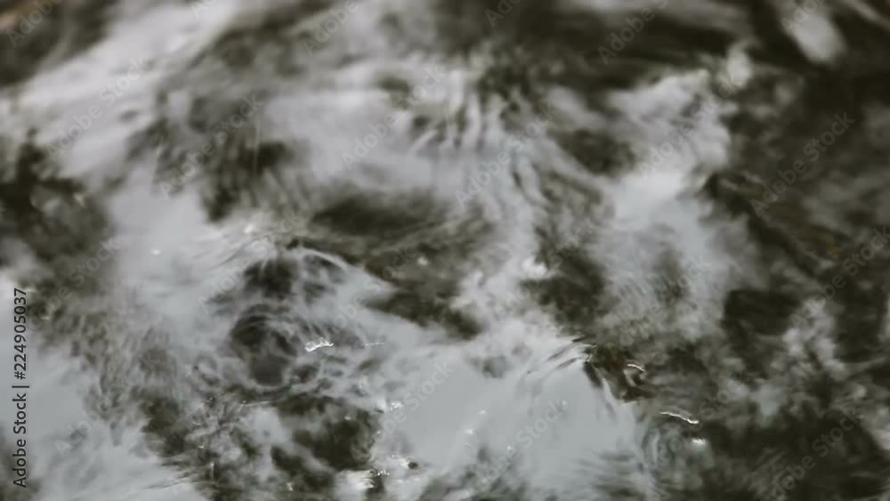 drop of water falls into a puddle, pond or lake drop of water falls into a puddle, pond or lake
